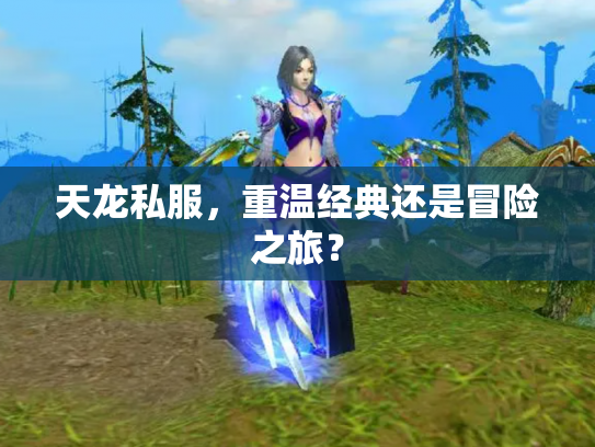 天龙私服，重温经典还是冒险之旅？
