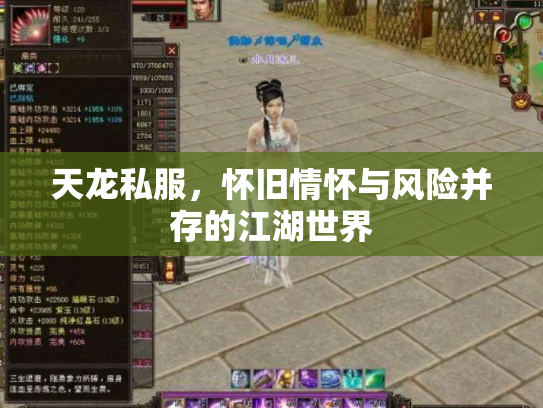 天龙私服，怀旧情怀与风险并存的江湖世界