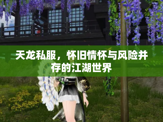天龙私服，怀旧情怀与风险并存的江湖世界