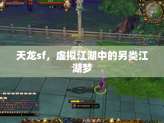 天龙sf，虚拟江湖中的另类江湖梦