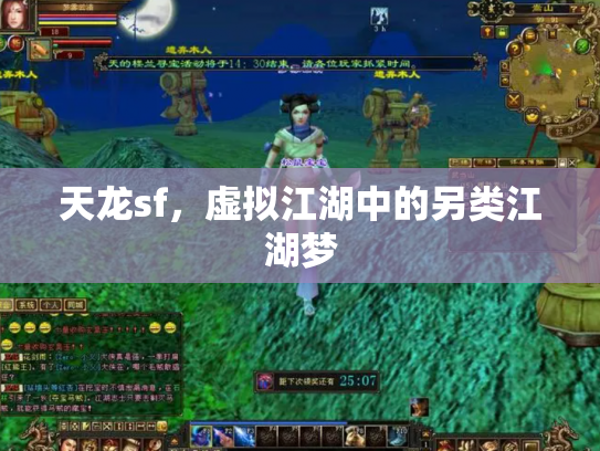 天龙sf，虚拟江湖中的另类江湖梦