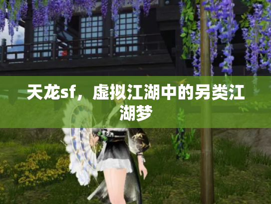 天龙sf，虚拟江湖中的另类江湖梦