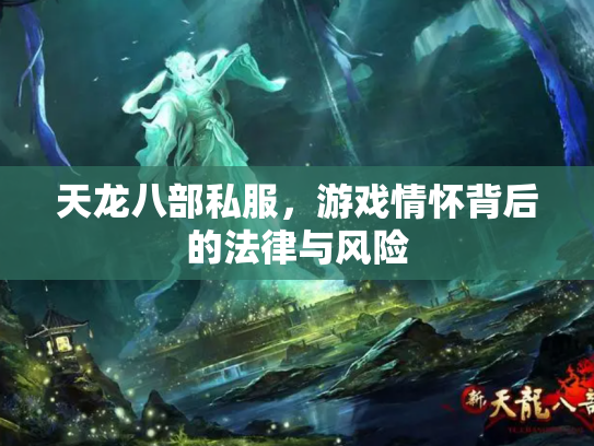 天龙八部私服，游戏情怀背后的法律与风险
