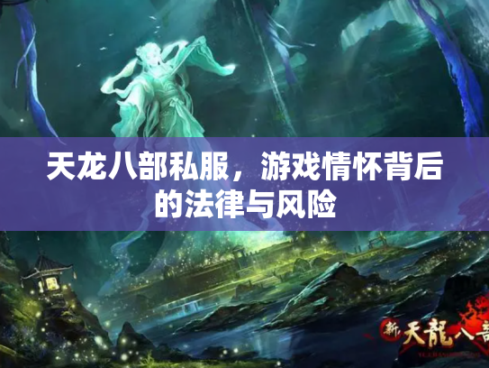 天龙八部私服，游戏情怀背后的法律与风险