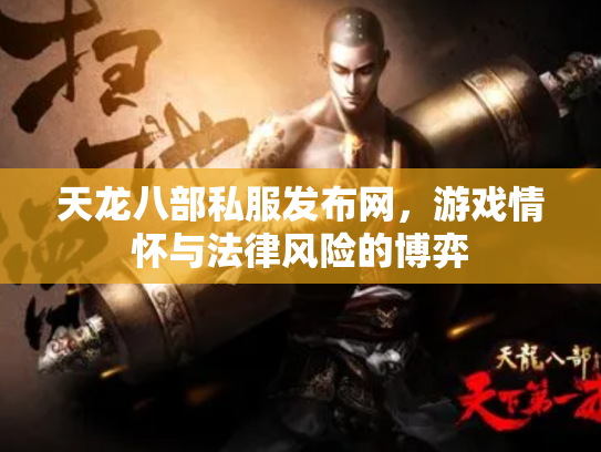 天龙八部私服发布网，游戏情怀与法律风险的博弈