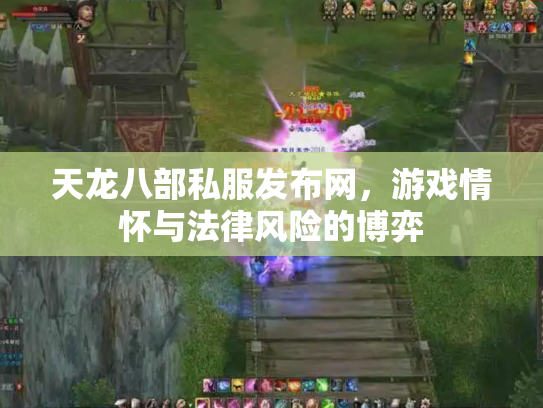 天龙八部私服发布网，游戏情怀与法律风险的博弈