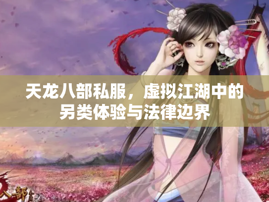 天龙八部私服，虚拟江湖中的另类体验与法律边界