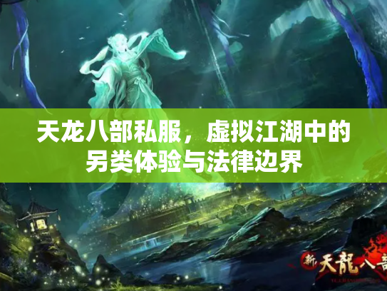 天龙八部私服，虚拟江湖中的另类体验与法律边界