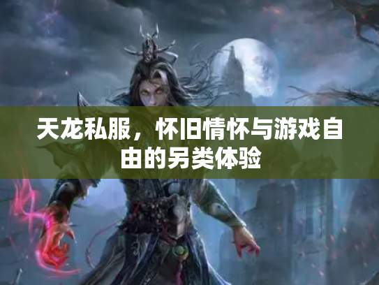 天龙私服，怀旧情怀与游戏自由的另类体验