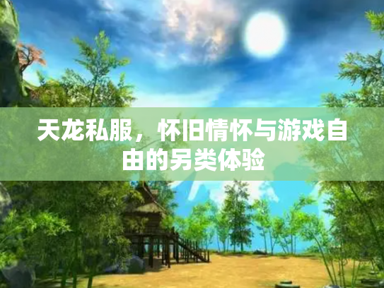 天龙私服，怀旧情怀与游戏自由的另类体验