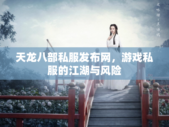 天龙八部私服发布网，游戏私服的江湖与风险