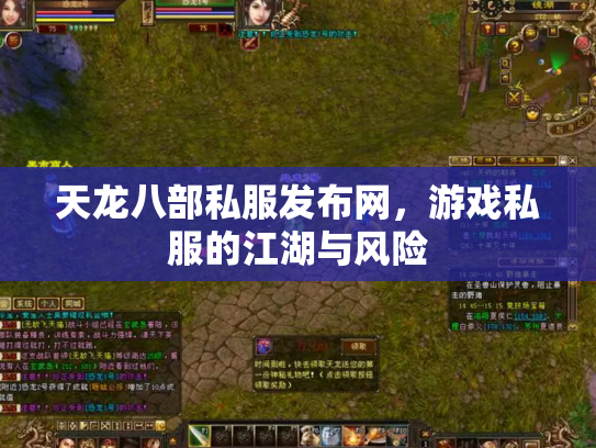天龙八部私服发布网，游戏私服的江湖与风险