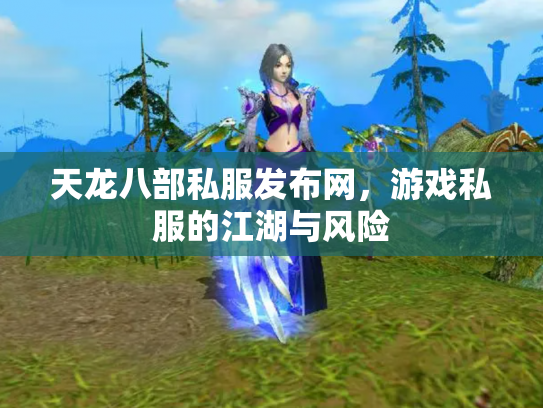天龙八部私服发布网，游戏私服的江湖与风险