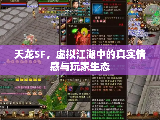天龙SF，虚拟江湖中的真实情感与玩家生态