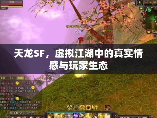天龙SF，虚拟江湖中的真实情感与玩家生态