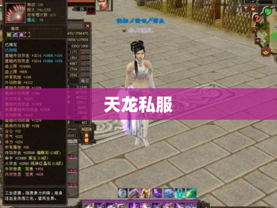 天龙私服