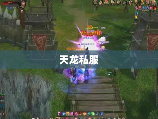 天龙私服
