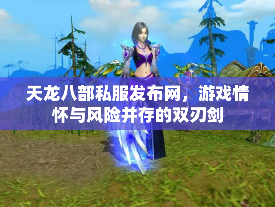 天龙八部私服发布网，游戏情怀与风险并存的双刃剑
