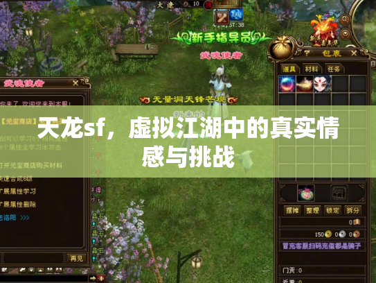 天龙sf，虚拟江湖中的真实情感与挑战