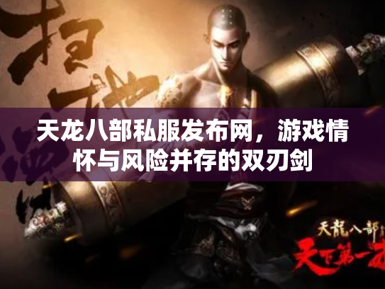 天龙八部私服发布网，游戏情怀与风险并存的双刃剑
