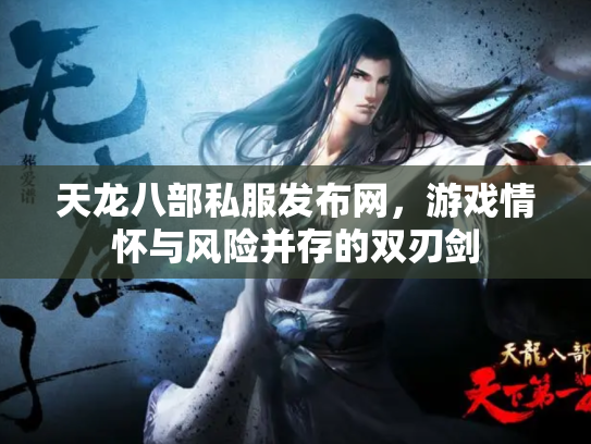 天龙八部私服发布网，游戏情怀与风险并存的双刃剑