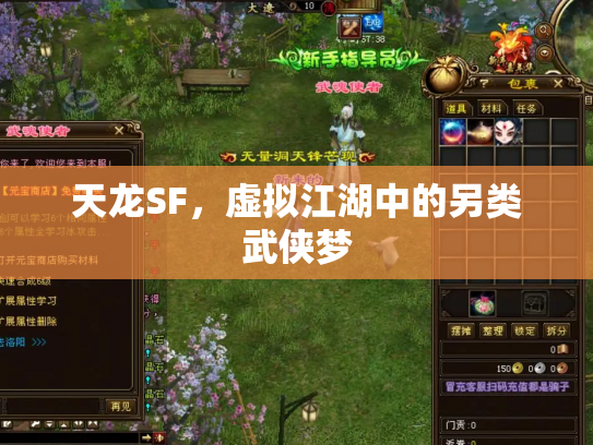 天龙SF，虚拟江湖中的另类武侠梦
