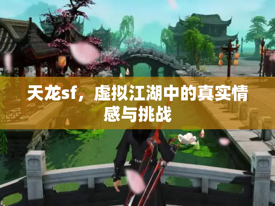 天龙sf，虚拟江湖中的真实情感与挑战