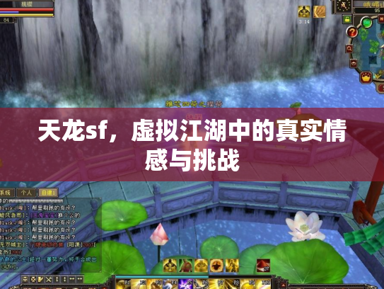 天龙sf，虚拟江湖中的真实情感与挑战