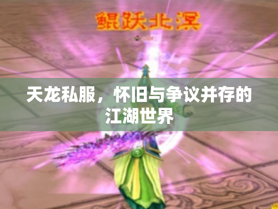 天龙私服，怀旧与争议并存的江湖世界