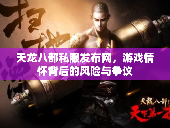 天龙八部私服发布网，游戏情怀背后的风险与争议