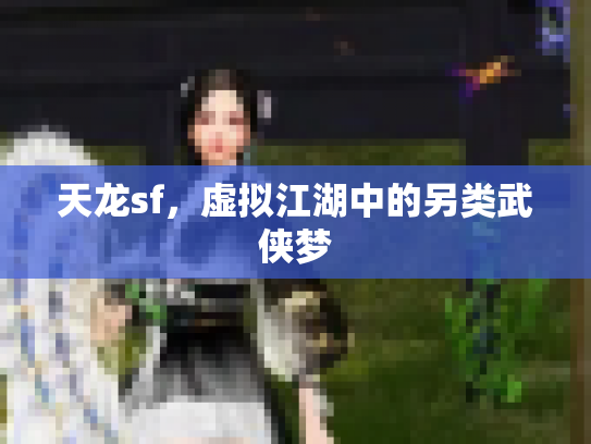 天龙sf，虚拟江湖中的另类武侠梦