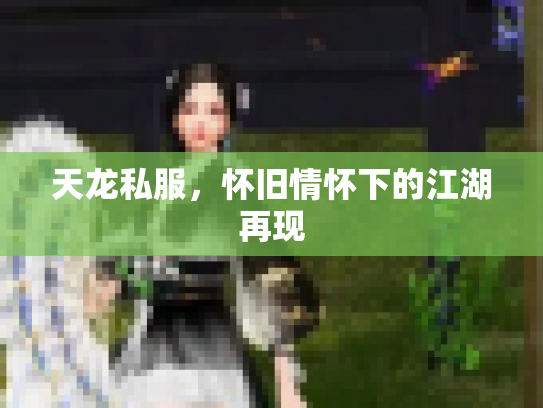 天龙私服，怀旧情怀下的江湖再现
