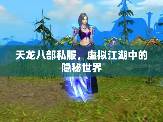 天龙八部私服，虚拟江湖中的隐秘世界
