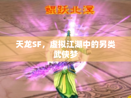 天龙SF，虚拟江湖中的另类武侠梦