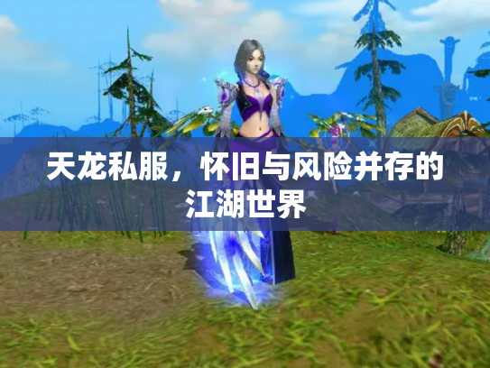 天龙私服，怀旧与风险并存的江湖世界