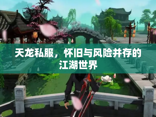 天龙私服，怀旧与风险并存的江湖世界