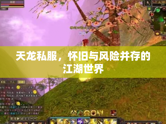 天龙私服，怀旧与风险并存的江湖世界