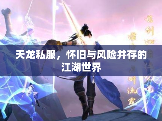 天龙私服，怀旧与风险并存的江湖世界