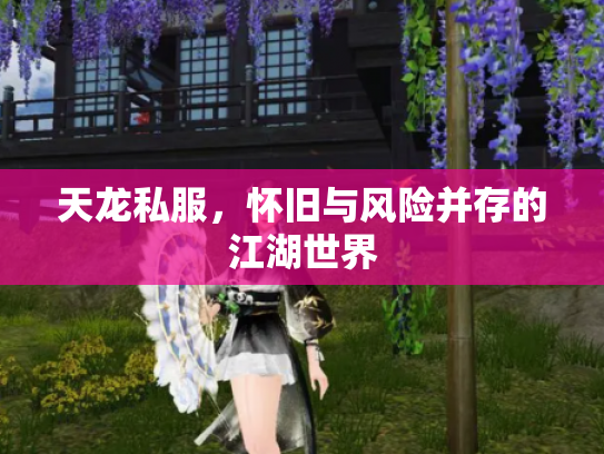 天龙私服，怀旧与风险并存的江湖世界