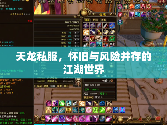 天龙私服，怀旧与风险并存的江湖世界
