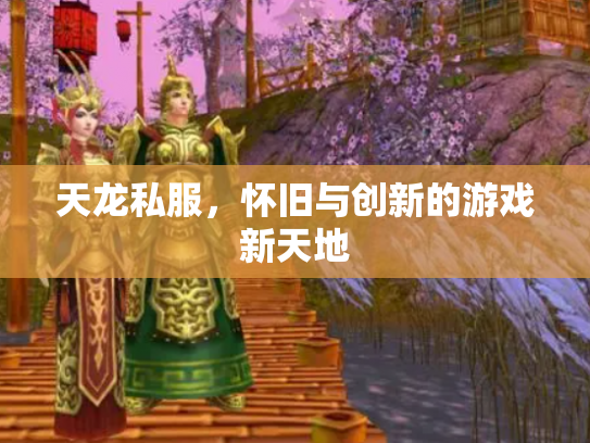 天龙私服，怀旧与创新的游戏新天地