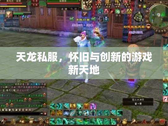 天龙私服，怀旧与创新的游戏新天地