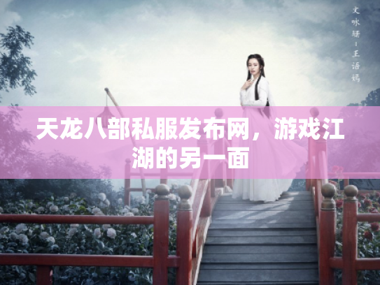 天龙八部私服发布网，游戏江湖的另一面