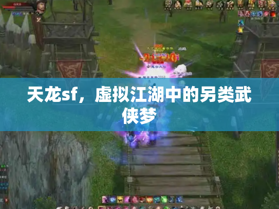 天龙sf，虚拟江湖中的另类武侠梦