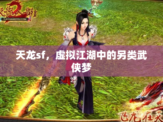 天龙sf，虚拟江湖中的另类武侠梦