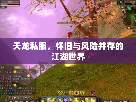 天龙私服，怀旧与风险并存的江湖世界