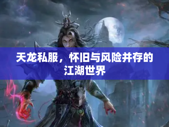 天龙私服，怀旧与风险并存的江湖世界
