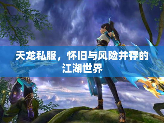 天龙私服，怀旧与风险并存的江湖世界