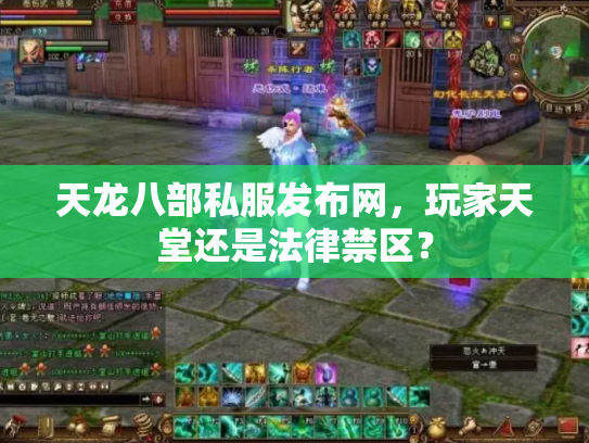 天龙八部私服发布网，玩家天堂还是法律禁区？