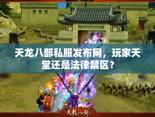 天龙八部私服发布网，玩家天堂还是法律禁区？